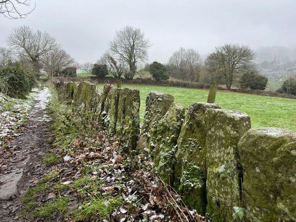 Stone hedge at Milltown, Ashover